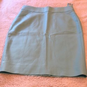NWOT JCrew skirt